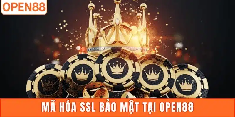 ma-hoa-ssl-256-bit-open88