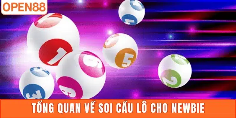 Tổng quan về soi cầu lô cho newbie